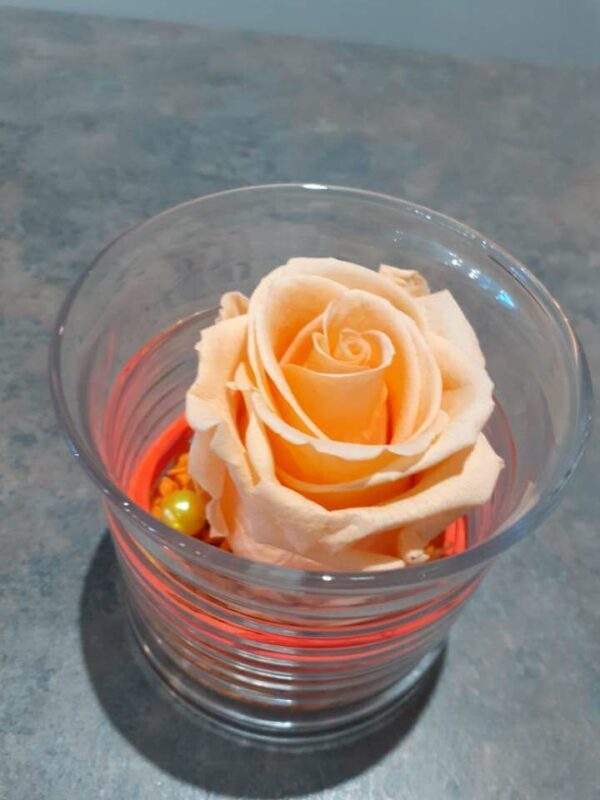 Leti-rose-fleuriste-landivisiau- Verrerie