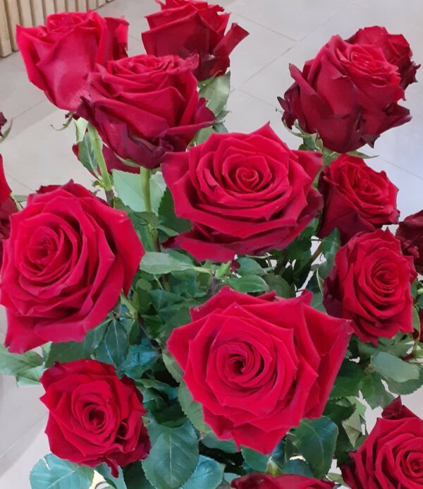 Bouquet de Roses Rouge
